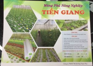Tem Tien Giang