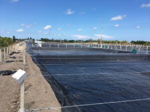 ky thuat lot bat ao nuoi tom 2