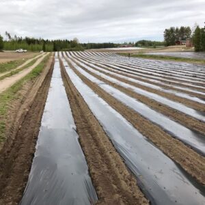 z4992424186702 e5ce00509560e94788a4090df992c7d9