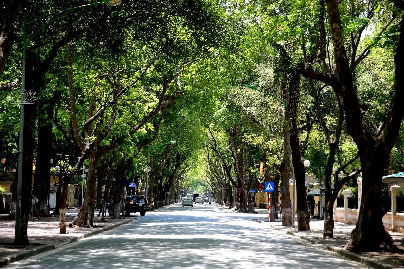 Làm mát đô thị bền vững trước nắng nóng cực đoan: Giảm nhiệt hài hòa với môi trường